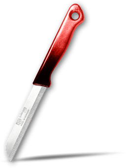 Solingen Premium Şef Bıçağı 20cm detay